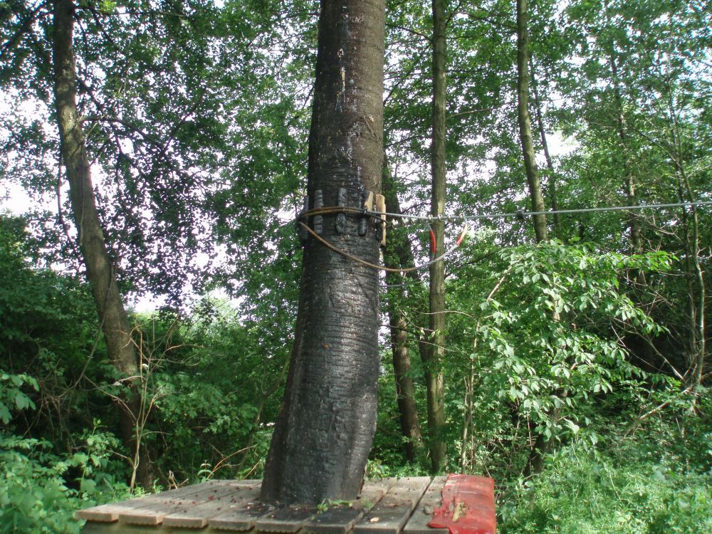 Powiększenie